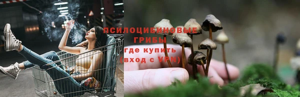 не бодяженный Вяземский