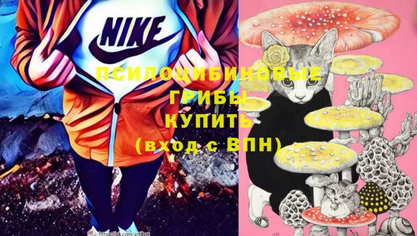 не бодяженный Вяземский