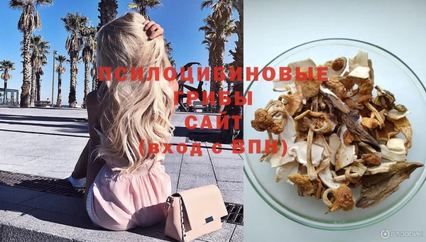 не бодяженный Вяземский