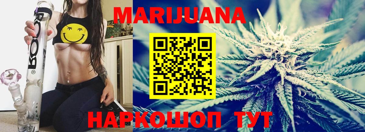 Конопля планчик Киров